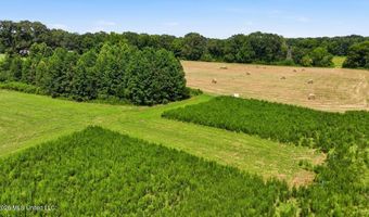 2363 Fugates Rd, Bentonia, MS 39040