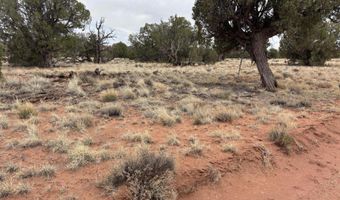Tbd N5505, Concho, AZ 85924