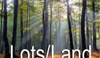 00 Lewis Moore Rd, Ashland, VA 22546