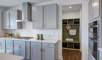 282 Williams Grove Ln, Apex, NC 27523
