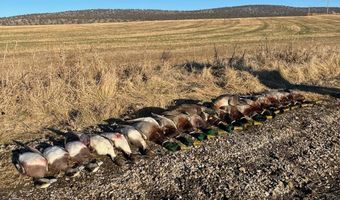 1550 Haskins Rd, Bonanza, OR 97623