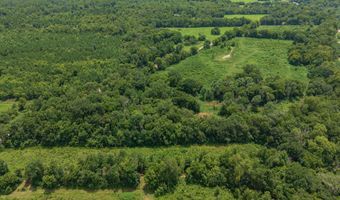 11660 Gamm Rd, Belcher, LA 71004