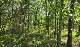 TRACT 40 TRAIL RIDGE ROAD, Albion, OK 74571