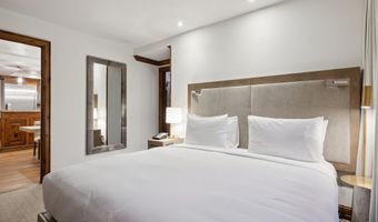 415 E Dean St Unit 46 Week 34, Aspen, CO 81611