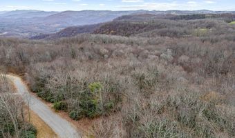 Lot 23 W Pheasant Chase, Ararat, VA 24053