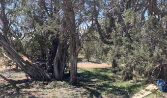 00 Off Of Rainy Rd, Ash Fork, AZ 86320
