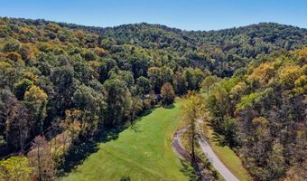 1076 Big Run Rd, Alma, WV 26320