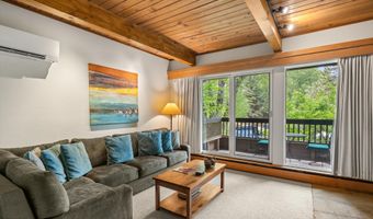 610 S West End St J204, Aspen, CO 81611