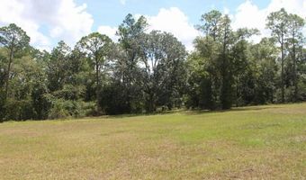 2089 Pike Pond Rd, Alford, FL 32420