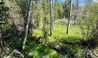 Nhn Perkins Gulch Road, Anaconda, MT 59711