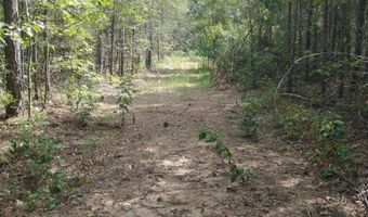 334 SERENITY Ln Lot 1, Alpine, AL 35014