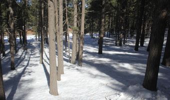 Lot 608 Via Del Rey, Angel Fire, NM 87710