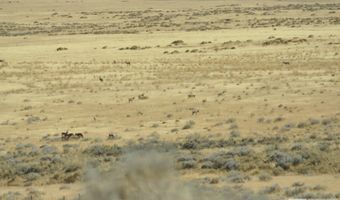 T32 Sec 25, Imlay, NV 89418