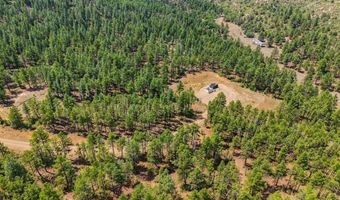 17775 County Road 51, Boncarbo, CO 81024