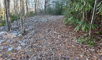 621 Round Top Rd Lot 3B, Almond, NC 28702