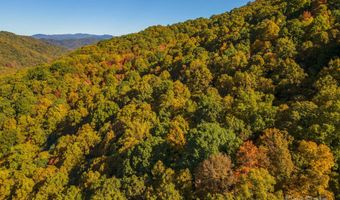 99999 Harwood Rd, Barnardsville, NC 28709