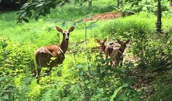 Meckesville Road lot Cp1072, Albrightsville, PA 18210