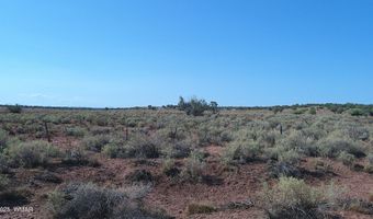 Tbd Wicked Sisters Way 38ac, Concho, AZ 85924