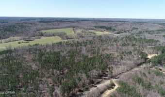 Tract 2 State Route 225, Bethel Springs, TN 38315