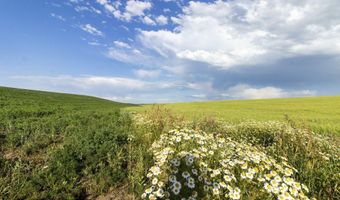 E 1400 N, Ashton, ID 83420