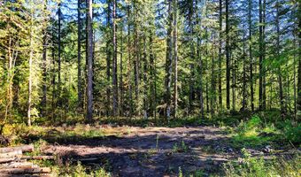 64293 E BRIGHTWOOD LOOP Rd, Brightwood, OR 97011