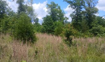 East Highway 3, Atoka, OK 74525