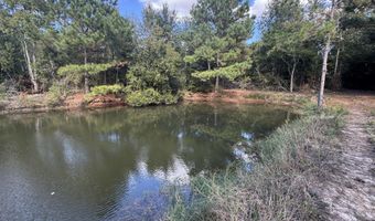 7190 Cantania Rd, Bay St. Louis, MS 39520