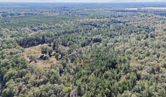 7901 Ashleigh Rd, Blackville, SC 29817