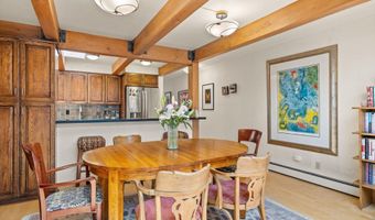 124 W Hyman Ave 3B, Aspen, CO 81611