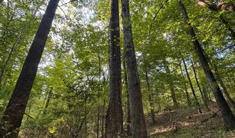 0 Military Rd, Beaverton, AL 35544