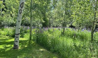1180 Black Birch Dr, Aspen, CO 81611