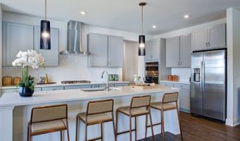 226 Williams Grove Ln, Apex, NC 27523