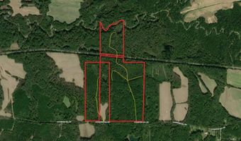 1 Champion Hill Rd, Bolton, MS 39041