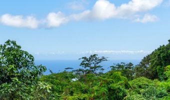 87-3476 MAMALAHOA Hwy, Captain Cook, HI 96704