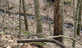 2 13 Acres Big Ridge Rd, Bakersville, NC 28705