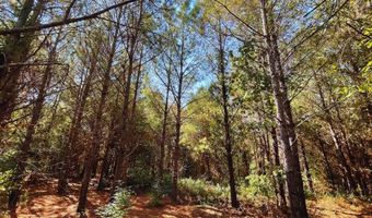 0 CR 320, Big Creek, MS 38914