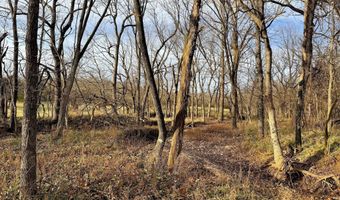 7182 Lawrence 1187, Ash Grove, MO 65604