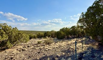 37 Co Rd N8174 10.1 Acres, Concho, AZ 85924