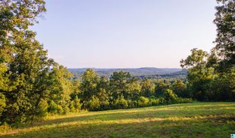 200 TABLEE LANE Lot 17.65, Ashland, AL 36251