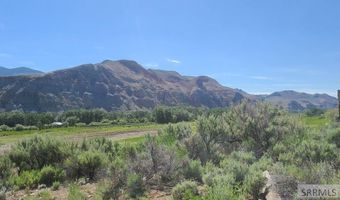 5 Homestead Trl, Challis, ID 83226