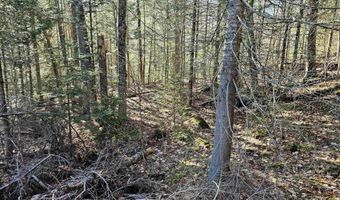 512 Woodbury Mountain Rd, Calais, VT 05648
