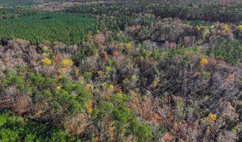 7501 Rainey Morris Rd, Appling, GA 30802