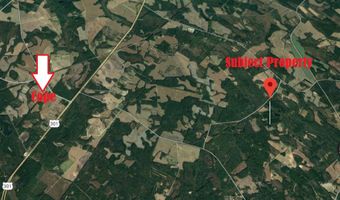 1 Stevenson Rd, Cope, SC 29038