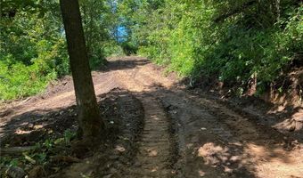 N3953-89 Bear Pen Road, Arkansaw, WI 54721