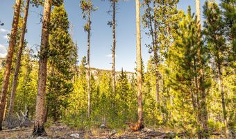 Harris Road lot 6 Tbd, Anaconda, MT 59711