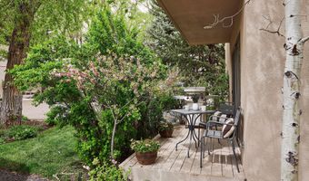 814 W Bleeker St C-1, Aspen, CO 81611