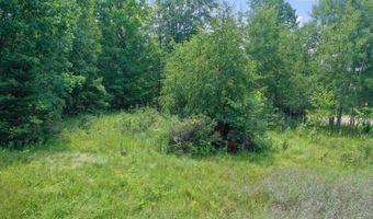 16180 THELEN Rd, Mountain, WI 54149