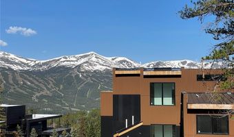 316 N FULLER PLACER Rd, Breckenridge, CO 80424