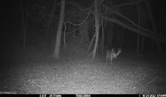 2233 Holloman Rd, Bentonia, MS 39040