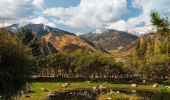 209 E Reds Rd, Aspen, CO 81611